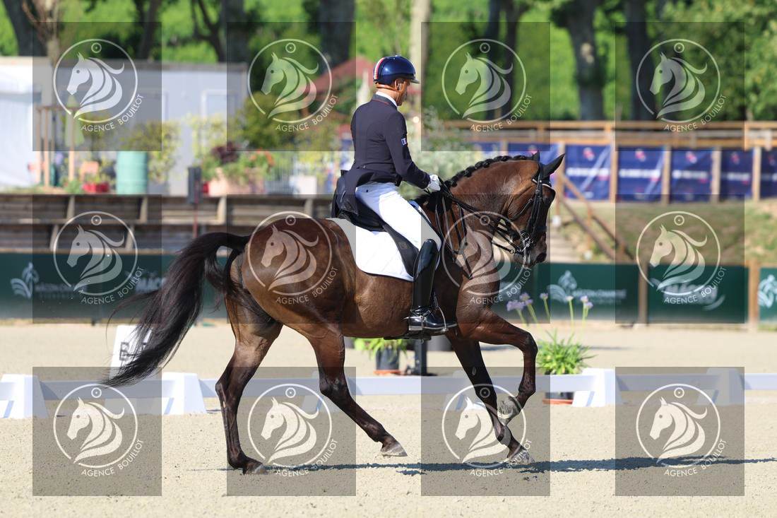 Aperçu Alexandre AYACHE · RULING OLIVIA