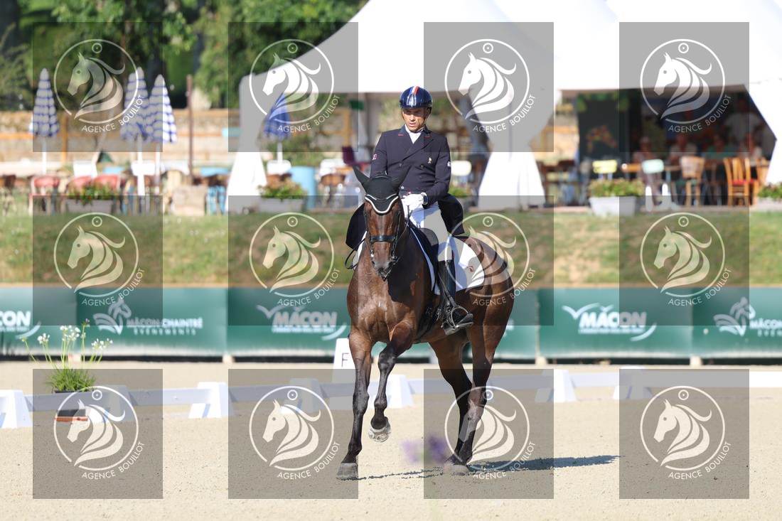 Aperçu Alexandre AYACHE · RULING OLIVIA