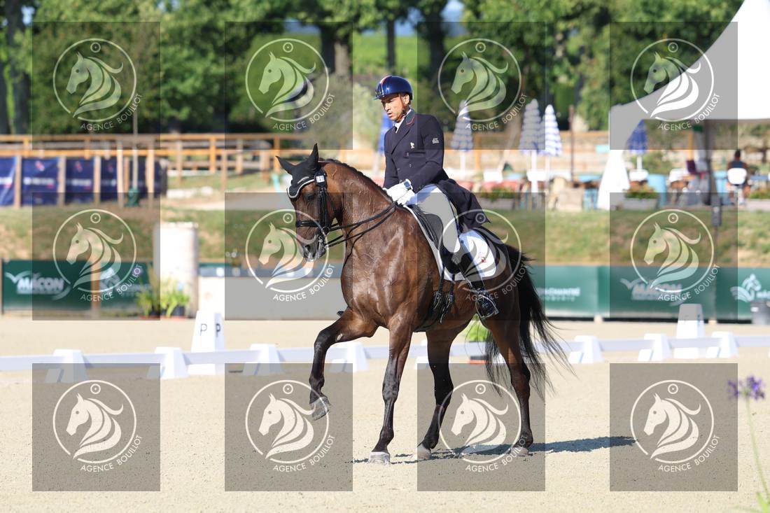 Aperçu Alexandre AYACHE · RULING OLIVIA