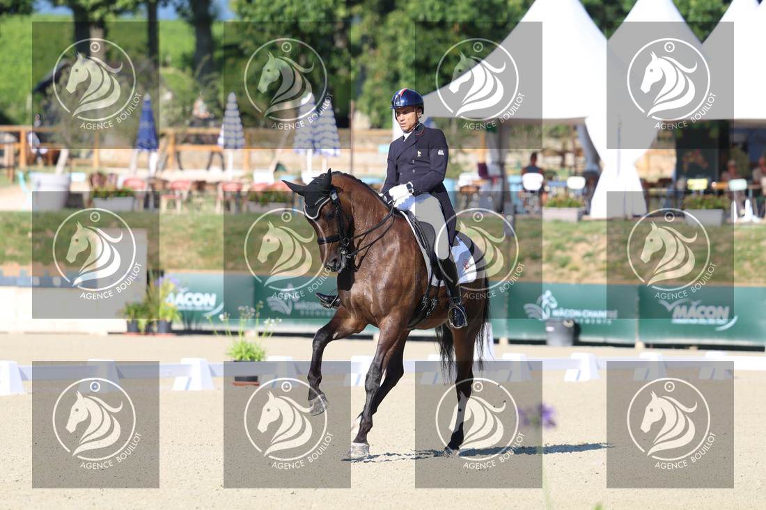 Aperçu Alexandre AYACHE · RULING OLIVIA