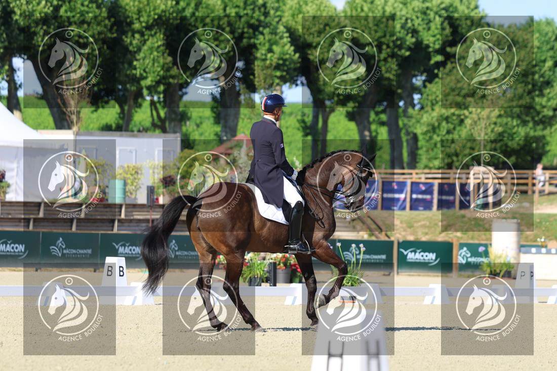 Aperçu Alexandre AYACHE · RULING OLIVIA