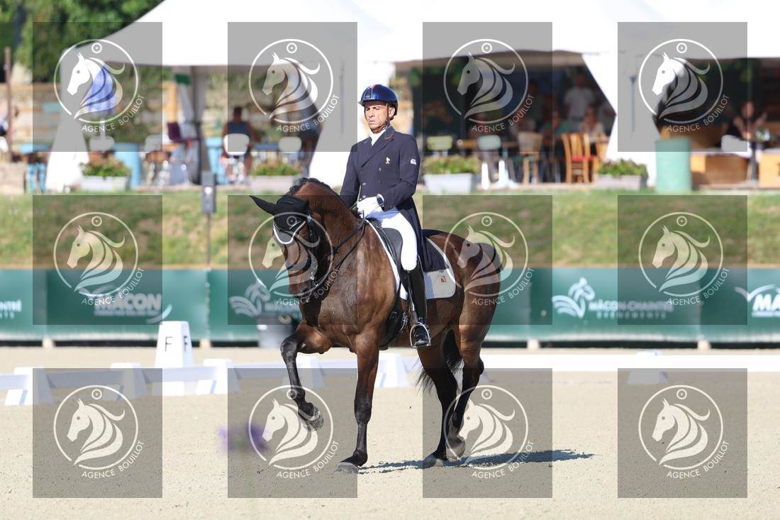 Aperçu Alexandre AYACHE · RULING OLIVIA