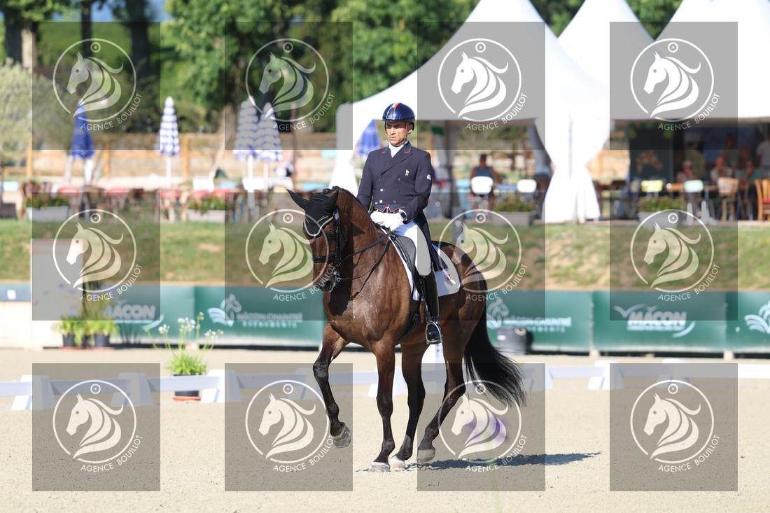 Aperçu Alexandre AYACHE · RULING OLIVIA