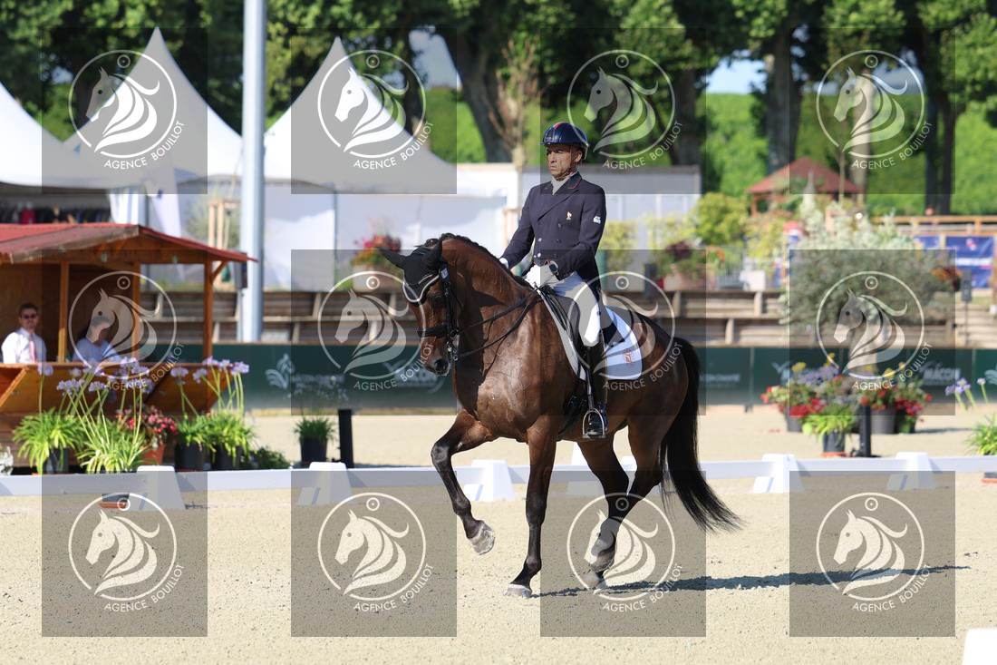 Aperçu Alexandre AYACHE · RULING OLIVIA