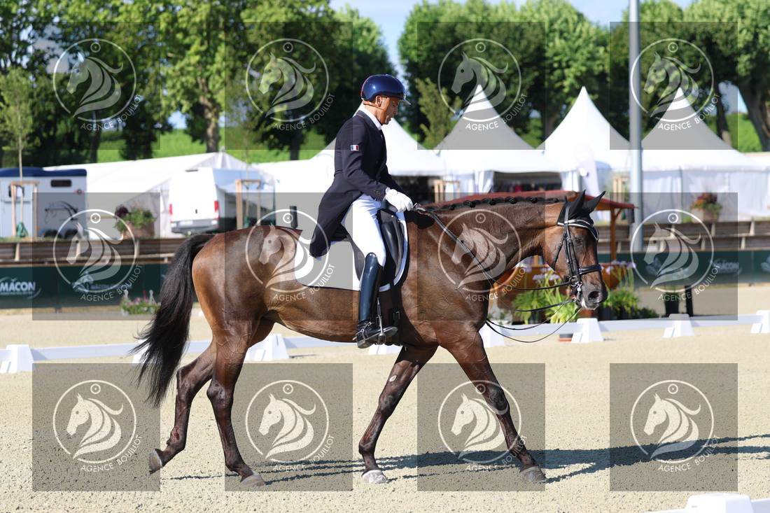 Aperçu Alexandre AYACHE · RULING OLIVIA