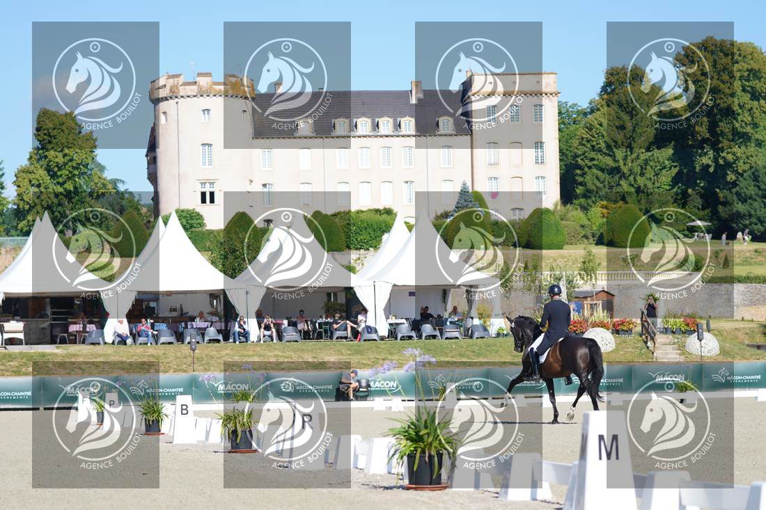 Aperçu Mathieu BERVILLE · FRAGOLINO DU PARC