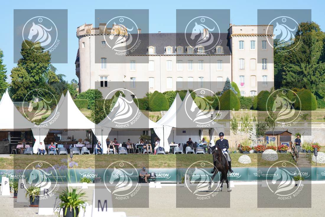 Aperçu Mathieu BERVILLE · FRAGOLINO DU PARC