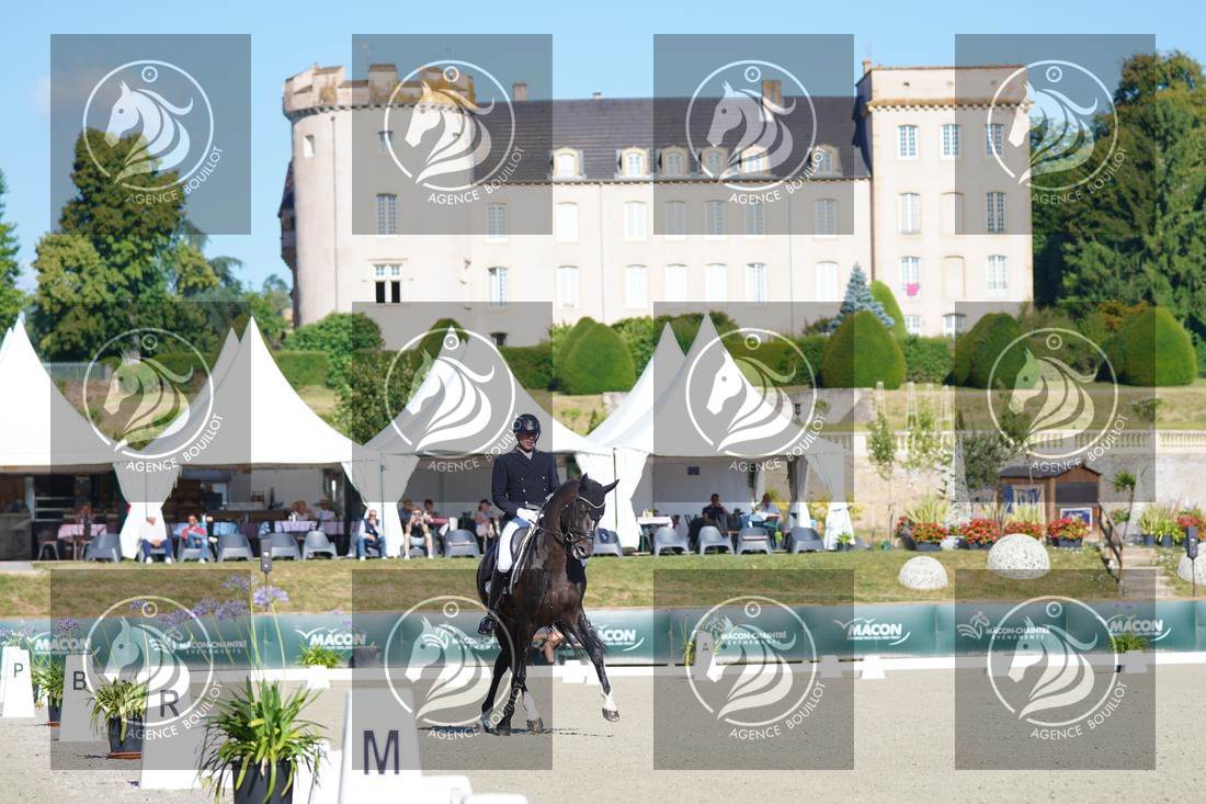 Aperçu Mathieu BERVILLE · FRAGOLINO DU PARC