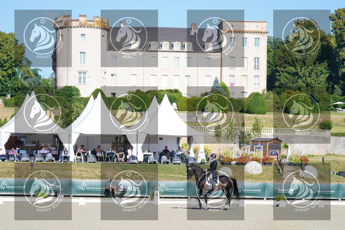Aperçu Mathieu BERVILLE · FRAGOLINO DU PARC