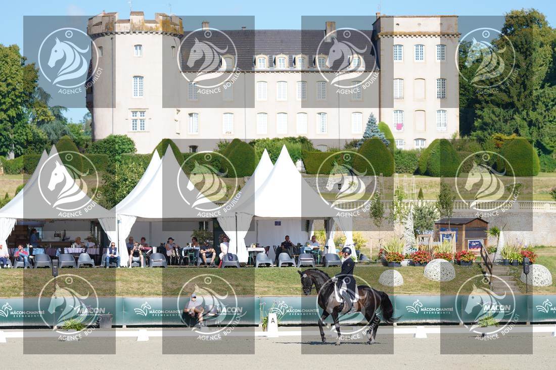 Aperçu Mathieu BERVILLE · FRAGOLINO DU PARC