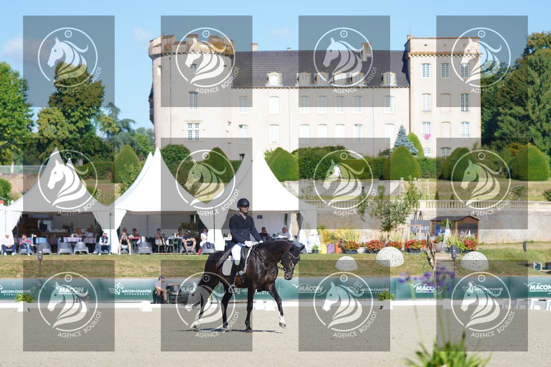 Aperçu Mathieu BERVILLE · FRAGOLINO DU PARC