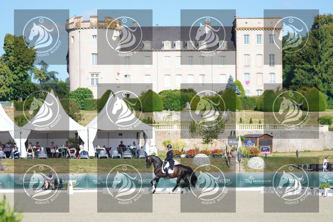 Aperçu Mathieu BERVILLE · FRAGOLINO DU PARC