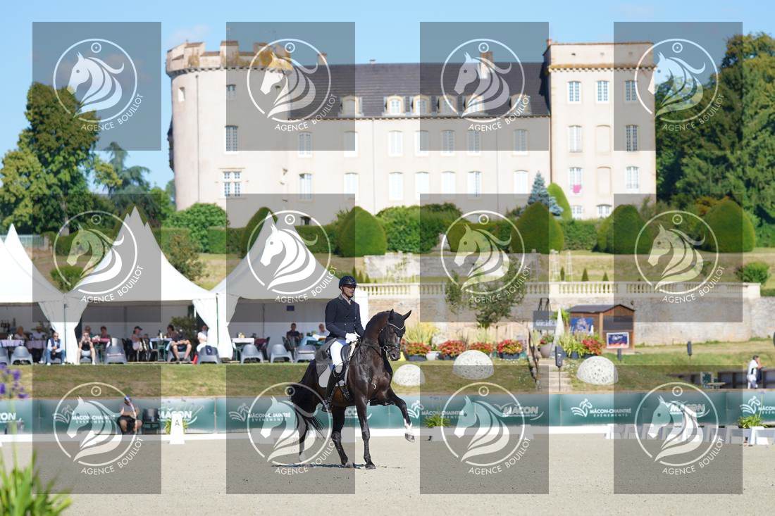 Aperçu Mathieu BERVILLE · FRAGOLINO DU PARC
