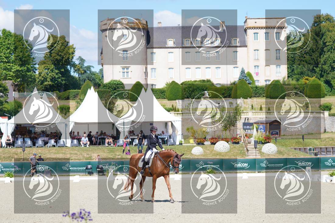 Aperçu Rachel BASTADY · DEWDROP'S JOHNNY DEPP