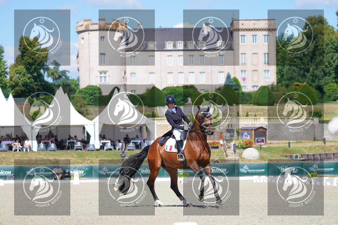 Aperçu Lana PORTEJOIE · LAST MINUTE