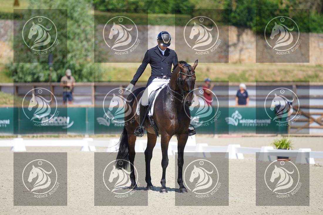 Aperçu Darren HICKS · TRAMONTANA TIGER FEET