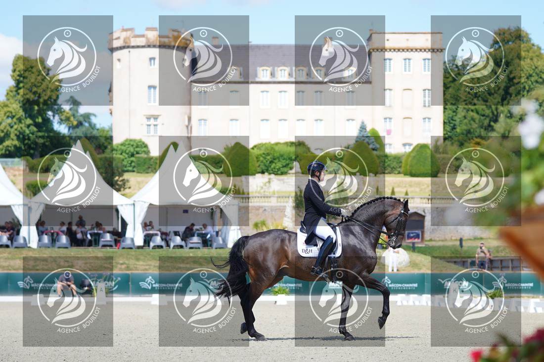 Aperçu Darren HICKS · TRAMONTANA TIGER FEET