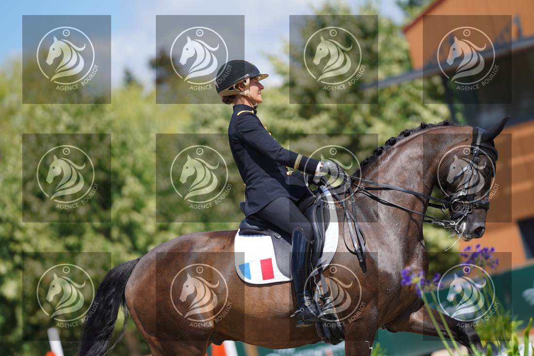 Aperçu Pauline BASQUIN · SERTORIUS DE RIMA Z IFCE