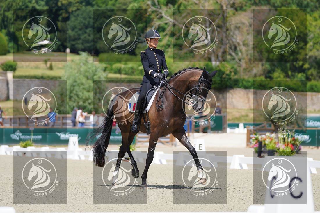 Aperçu Pauline BASQUIN · SERTORIUS DE RIMA Z IFCE