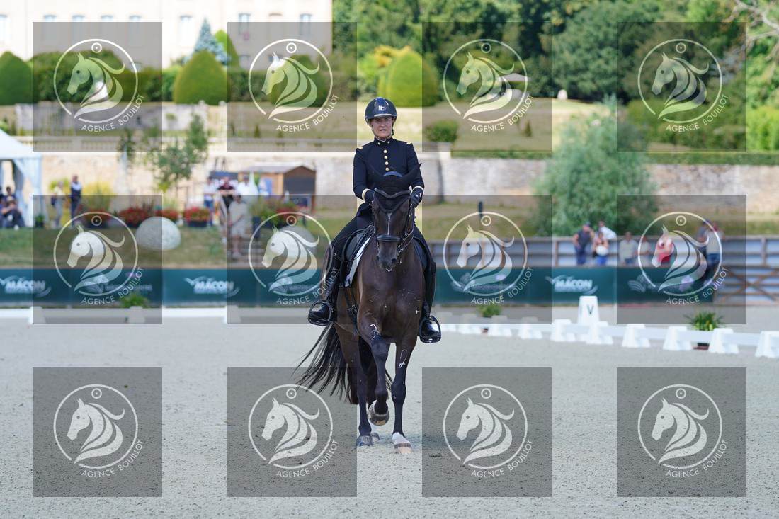 Aperçu Pauline BASQUIN · SERTORIUS DE RIMA Z IFCE