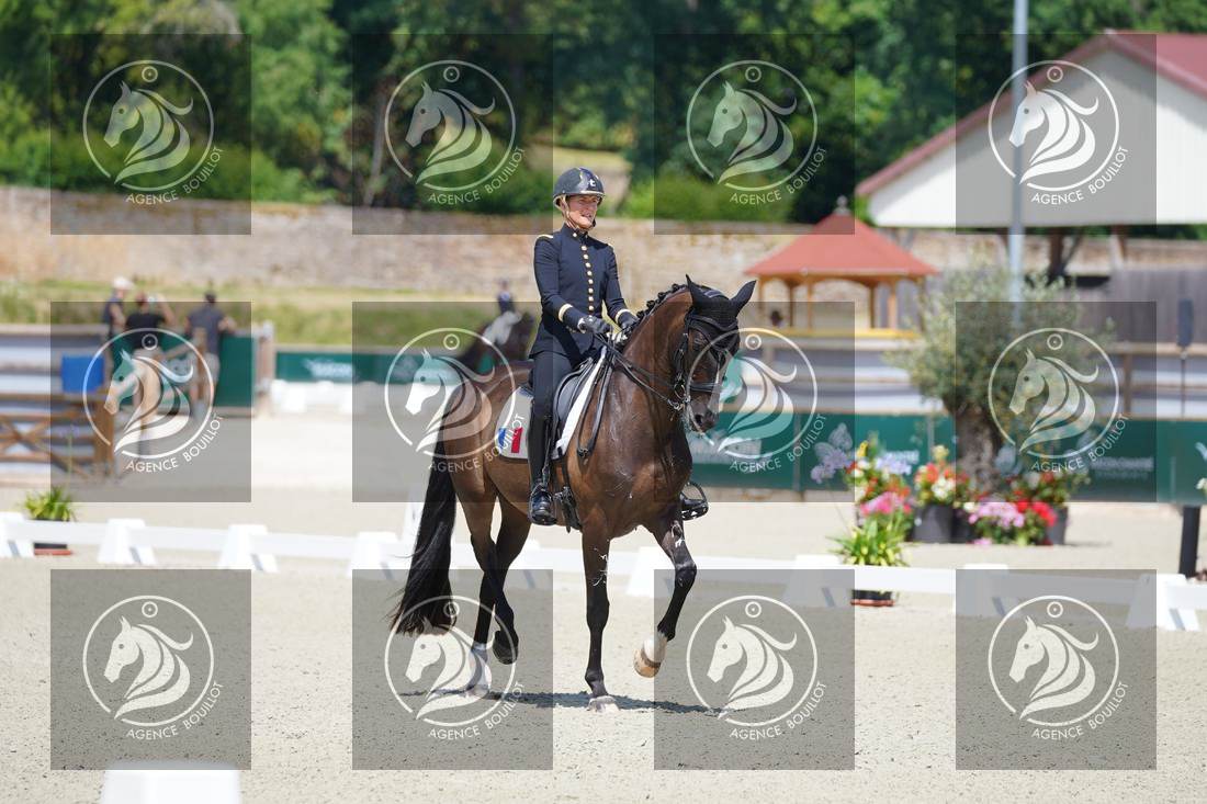 Aperçu Pauline BASQUIN · SERTORIUS DE RIMA Z IFCE