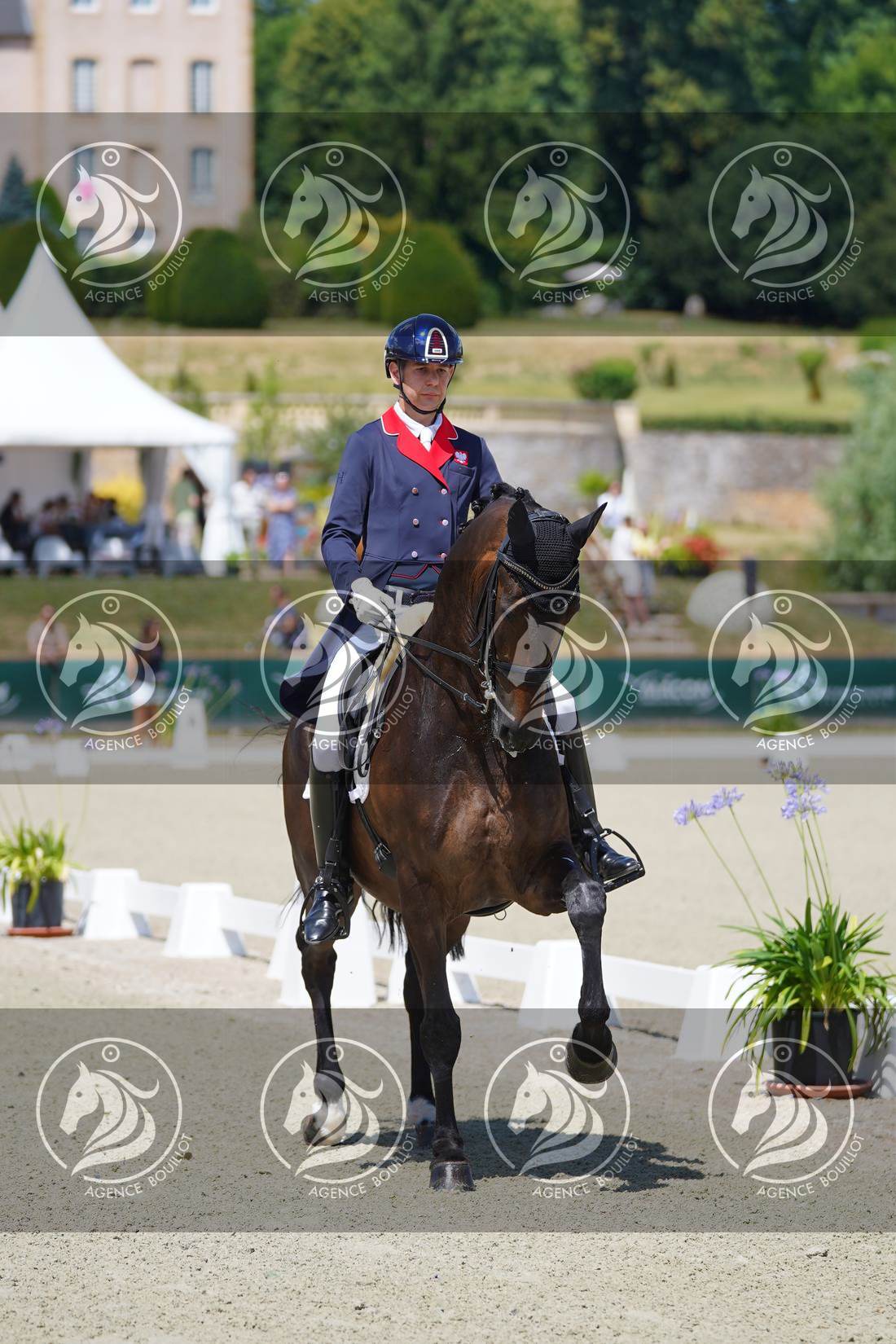 Aperçu Roy FIRST · INFINITY WIN T