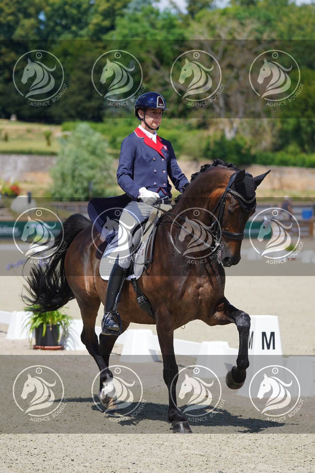Aperçu Roy FIRST · INFINITY WIN T