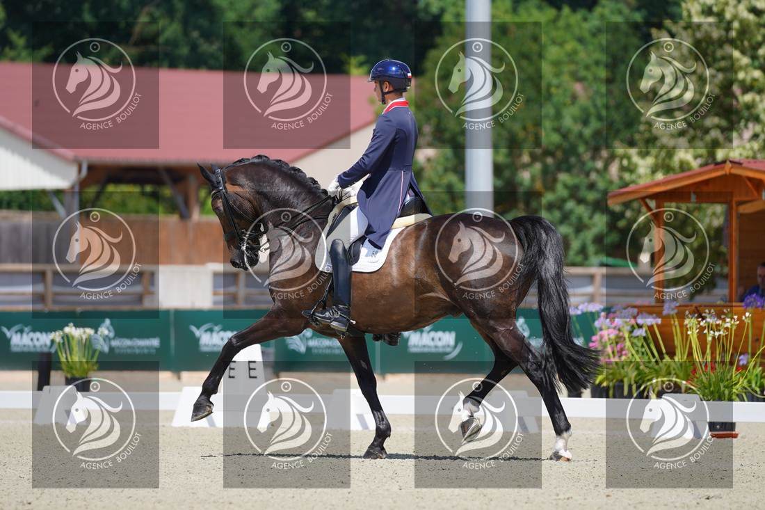 Aperçu Roy FIRST · INFINITY WIN T