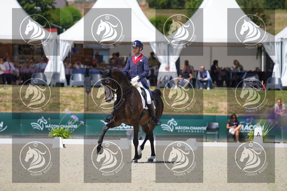 Aperçu Roy FIRST · INFINITY WIN T