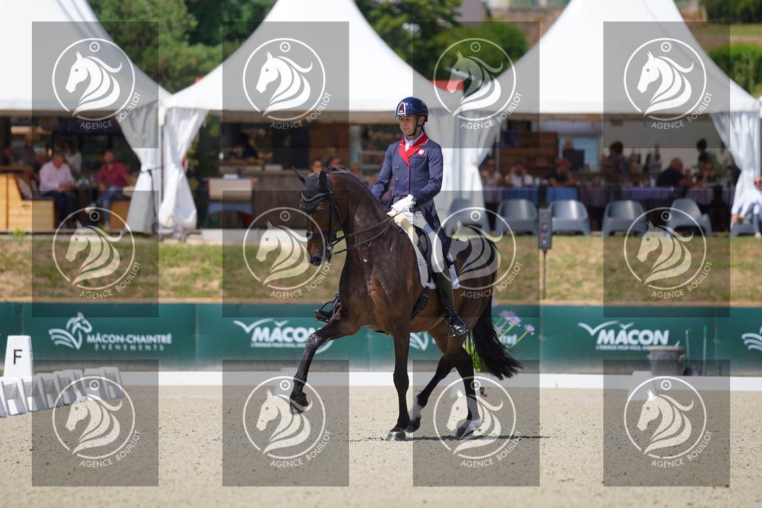 Aperçu Roy FIRST · INFINITY WIN T