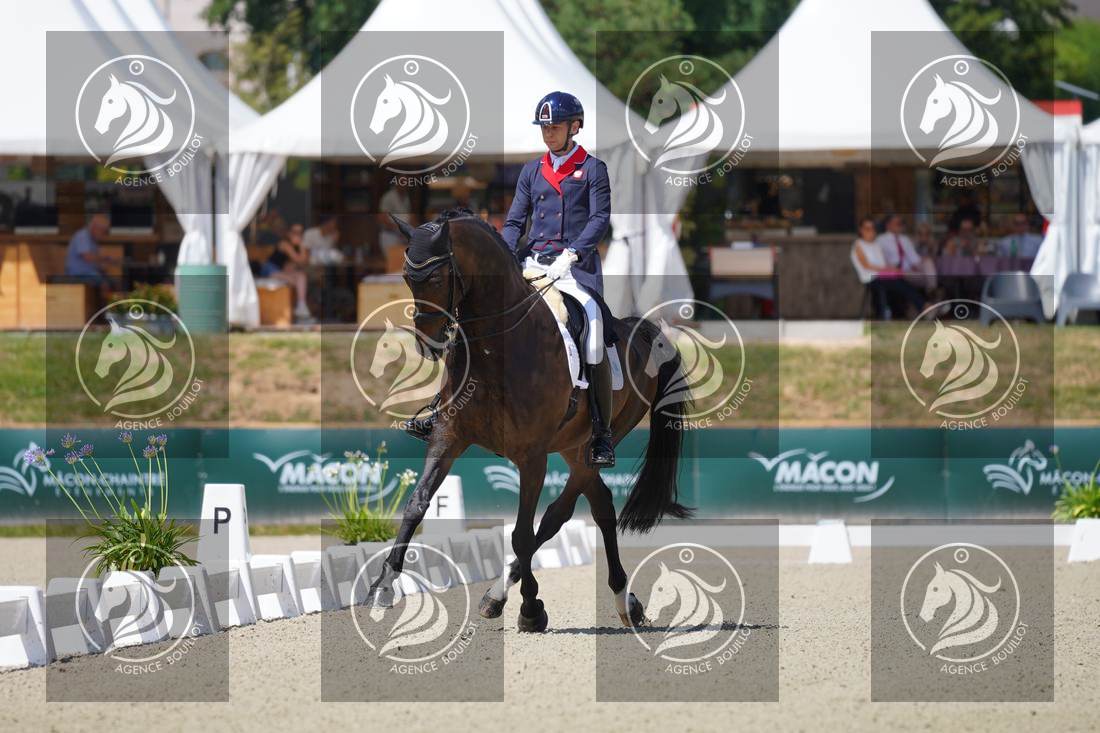 Aperçu Roy FIRST · INFINITY WIN T