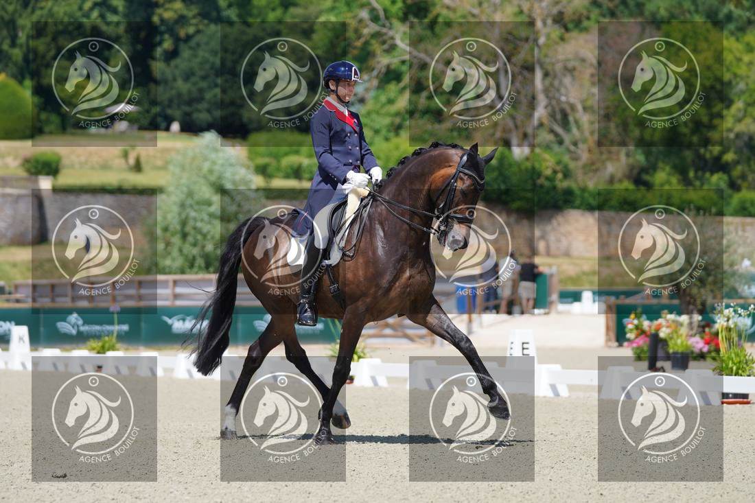 Aperçu Roy FIRST · INFINITY WIN T