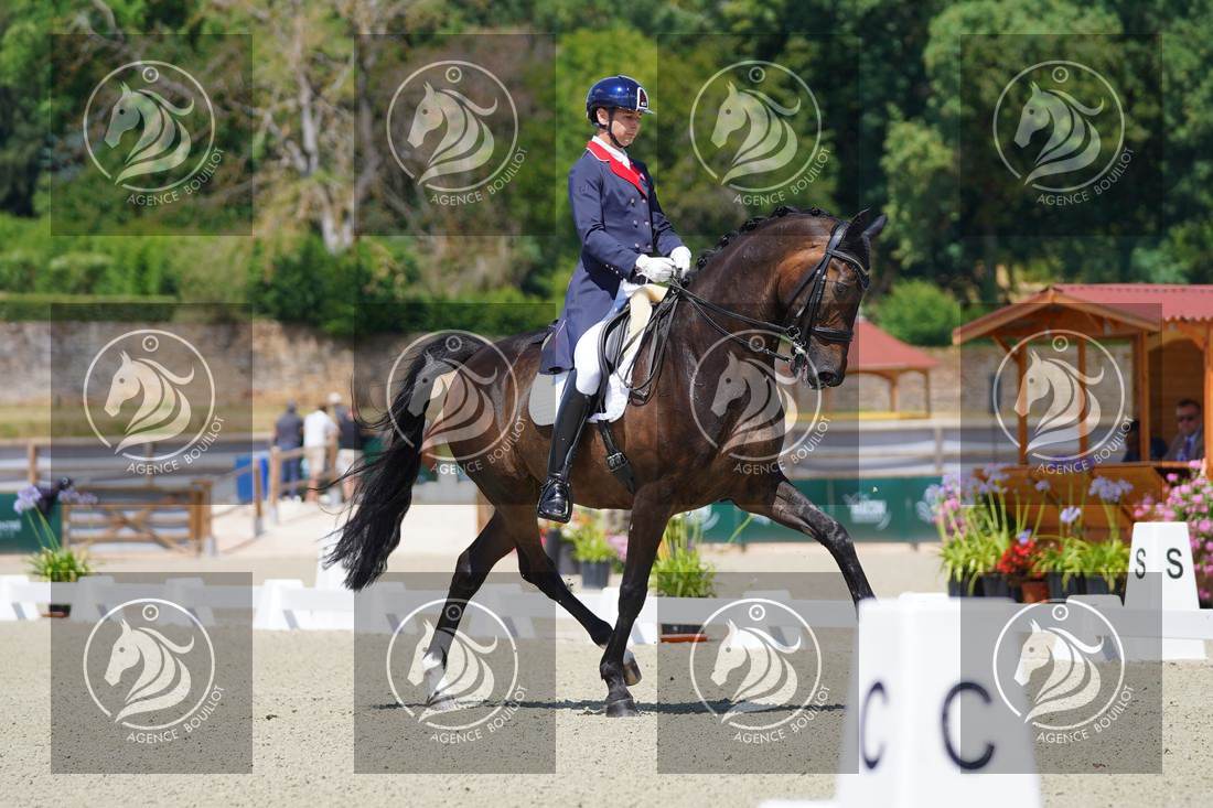Aperçu Roy FIRST · INFINITY WIN T