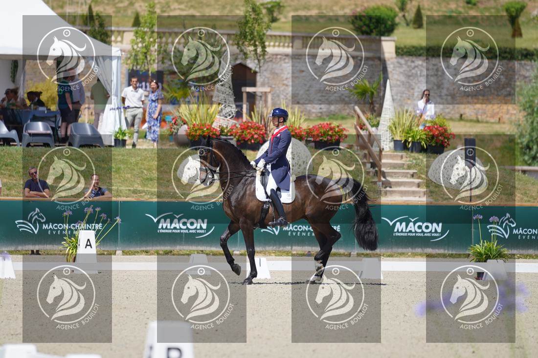 Aperçu Roy FIRST · INFINITY WIN T