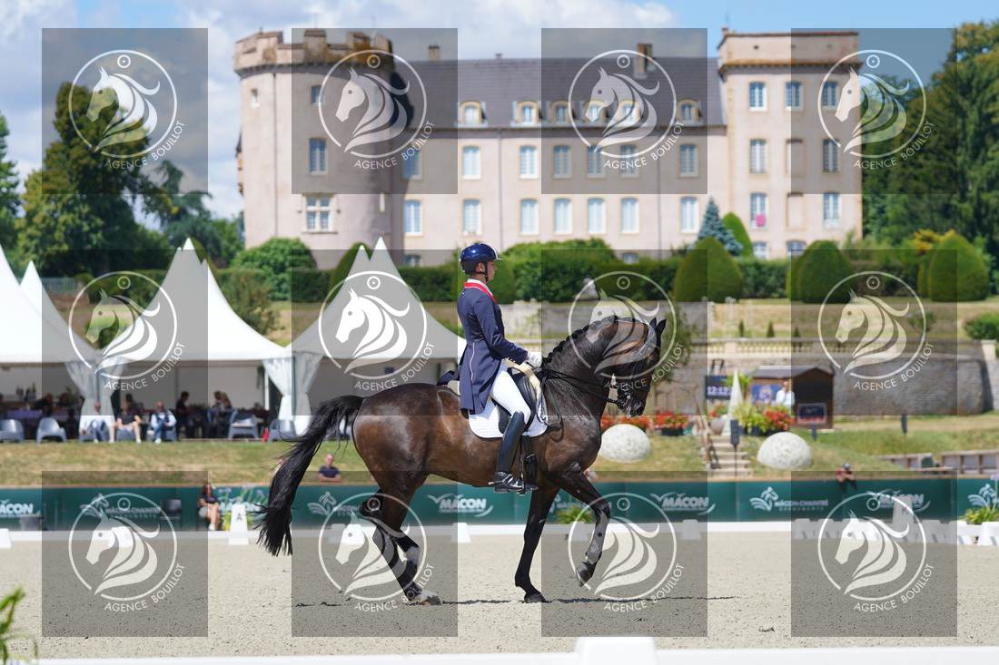 Aperçu Roy FIRST · INFINITY WIN T