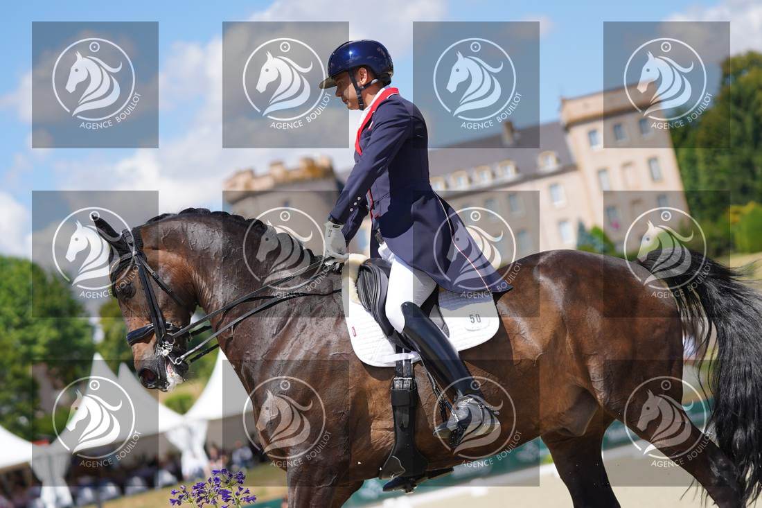 Aperçu Roy FIRST · INFINITY WIN T