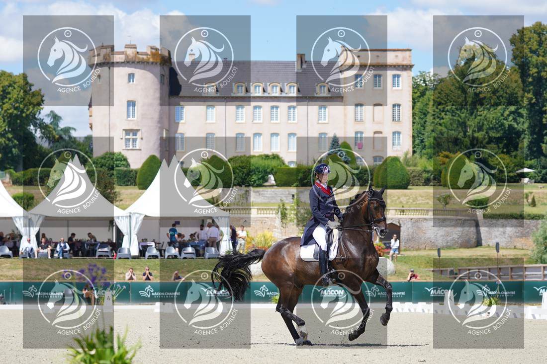 Aperçu Roy FIRST · INFINITY WIN T