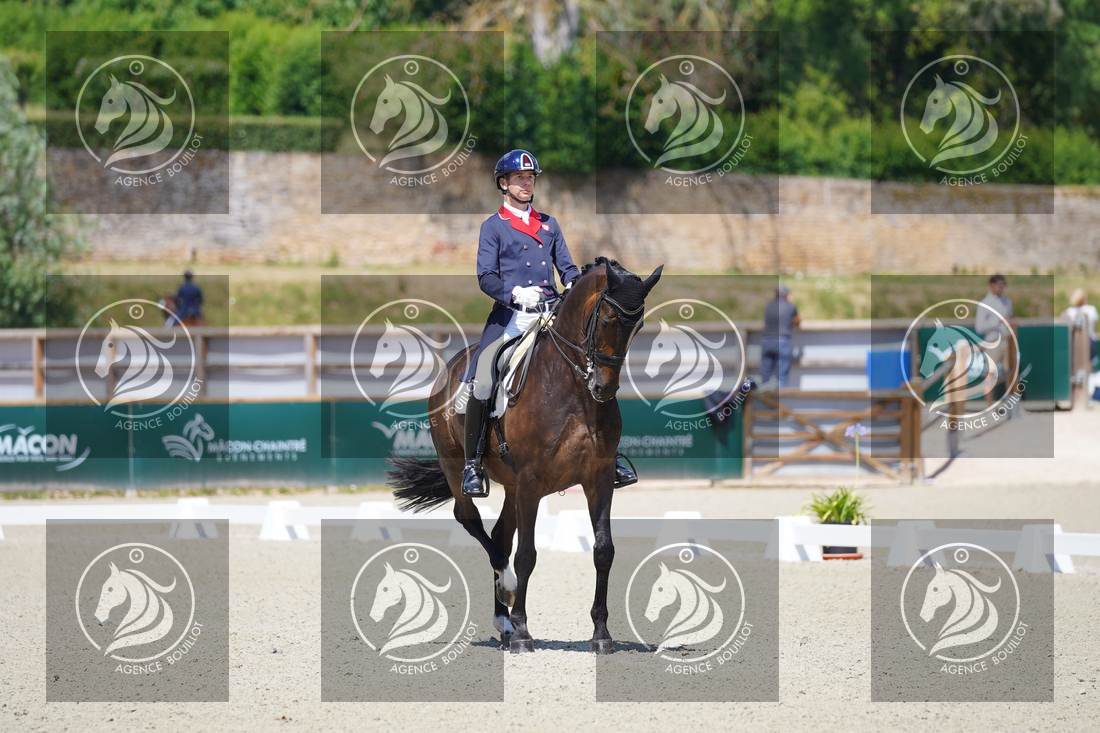 Aperçu Roy FIRST · INFINITY WIN T