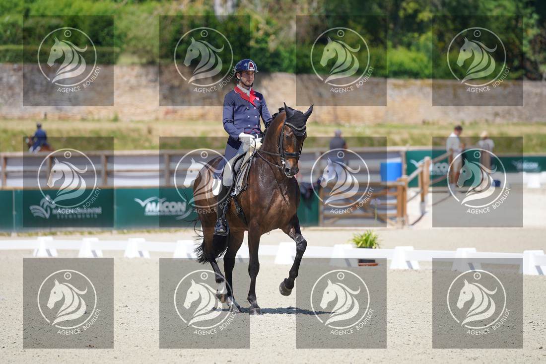 Aperçu Roy FIRST · INFINITY WIN T