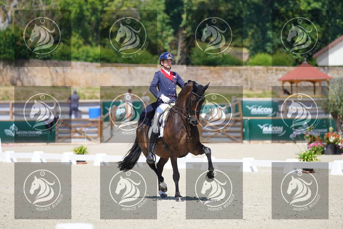 Aperçu Roy FIRST · INFINITY WIN T