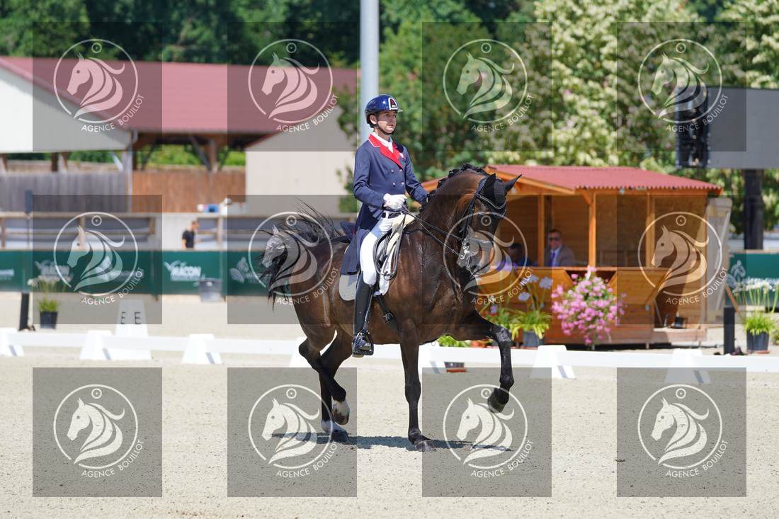 Aperçu Roy FIRST · INFINITY WIN T