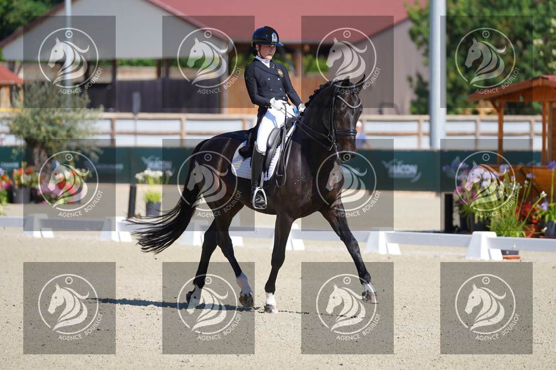 Aperçu Yuddy CHENG · GRAPPA
