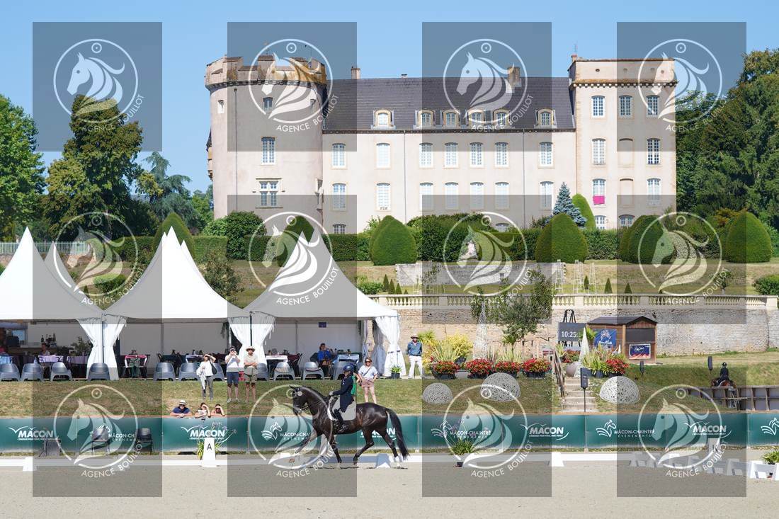 Aperçu Constance MENARD · DONARA DES BLANCS