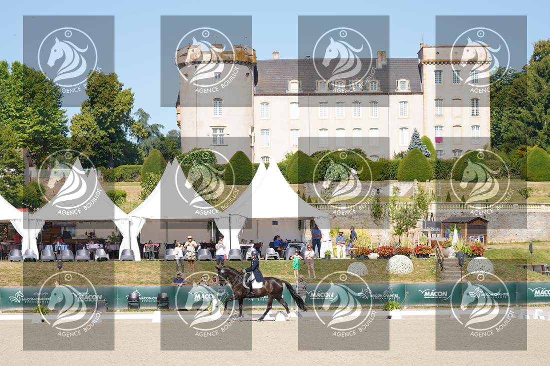 Aperçu Constance MENARD · DONARA DES BLANCS