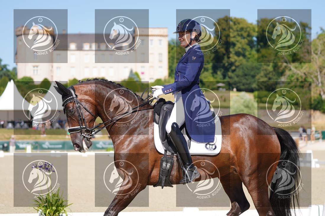 Aperçu Anne sophie SERRE · LIGHTNING STAR