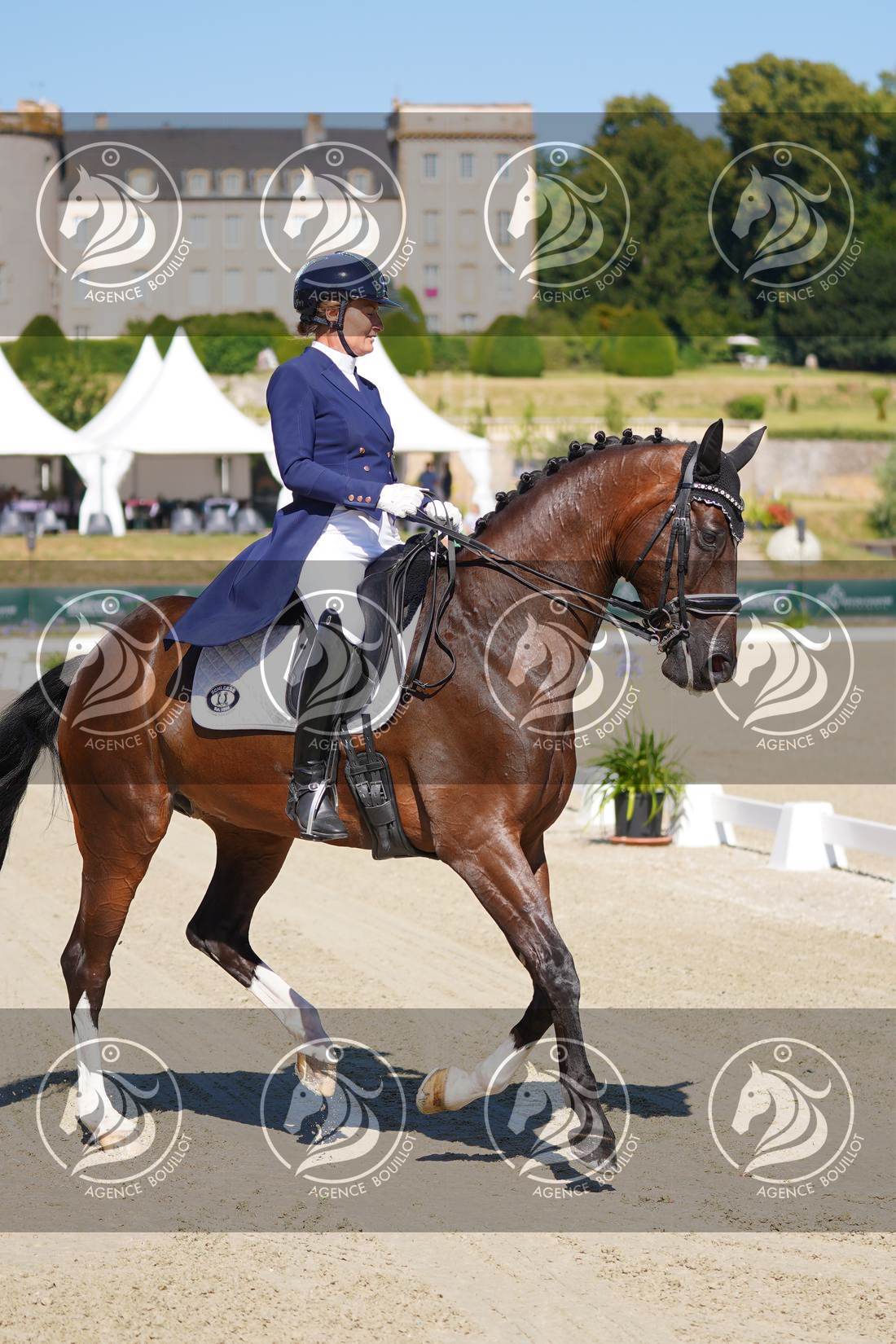 Aperçu Anne sophie SERRE · LIGHTNING STAR