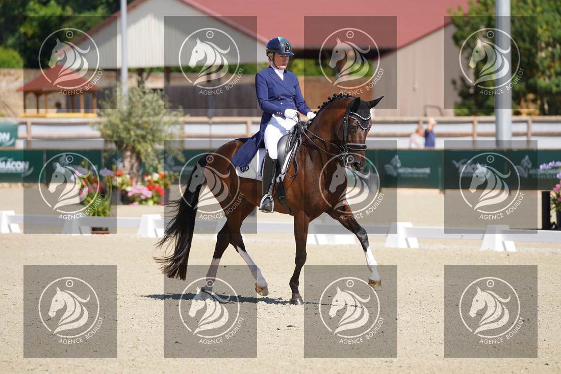 Aperçu Anne sophie SERRE · LIGHTNING STAR