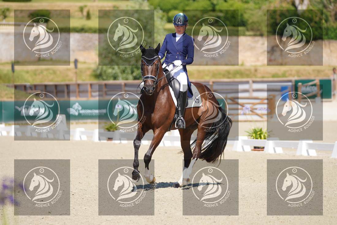 Aperçu Anne sophie SERRE · LIGHTNING STAR