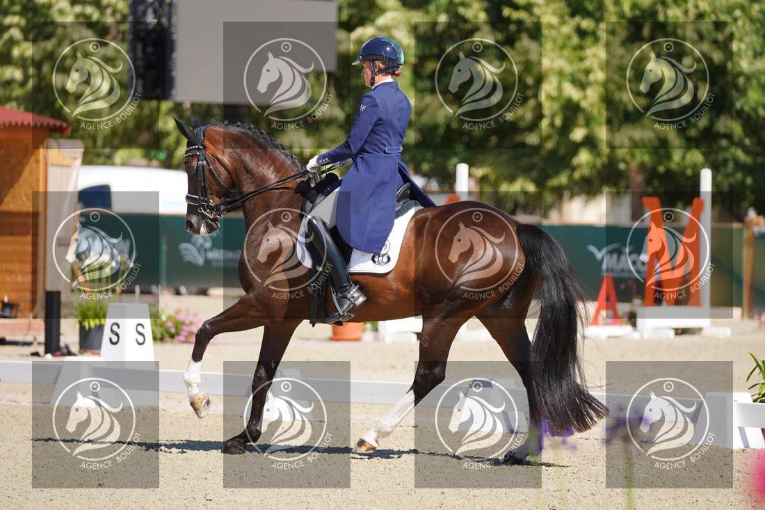Aperçu Anne sophie SERRE · LIGHTNING STAR