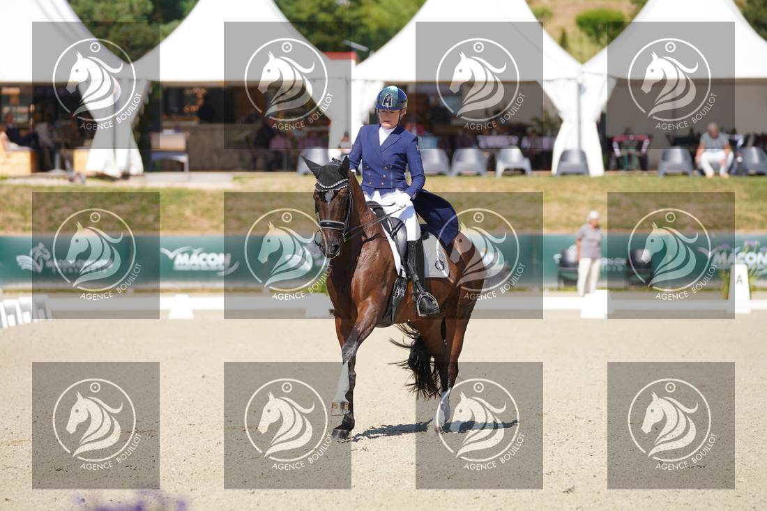 Aperçu Anne sophie SERRE · LIGHTNING STAR
